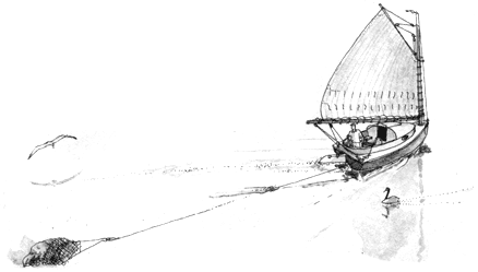
Scalloping by sail is a beneficial and workable alternative -- dragging back and forth with wind a beam or keeping the wind on your quarter. Remember, though that sailboats and powerboats maneuver differently, and that you are encroaching on the professional's domain.
